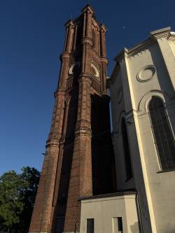 IMG_0301.jpeg